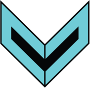 Drużyna Vinkelparty. Skład CS2 (CS:GO)