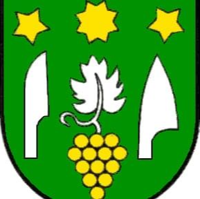 Vinohrad Cebovce – Football Team