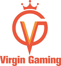 Virgin Gaming – Dota 2 Team