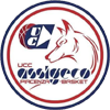 Equipo Visa Piacenza. Composición De Basketball