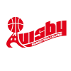 Visby Ladies Women Basketball Team