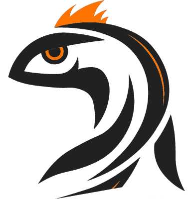 ViV Esport – Wild Rift Team