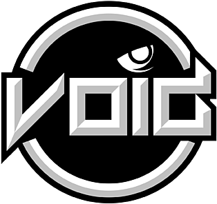 Void, склад з Dota 2