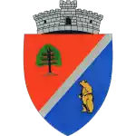 Vointa Livezile – Football