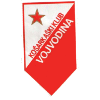 Equipo Vojvodina. Composición De Basketball