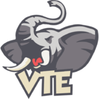 Команда VTE. Состав CS2 (CS:GO)