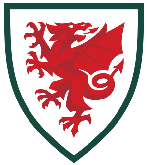 Wales U16 Football Team