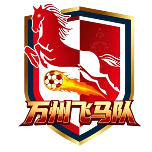 Equipo Wanzhou Pegasus. Composición De Football
