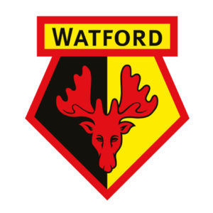 Equipo Watford U18. Composición De Football