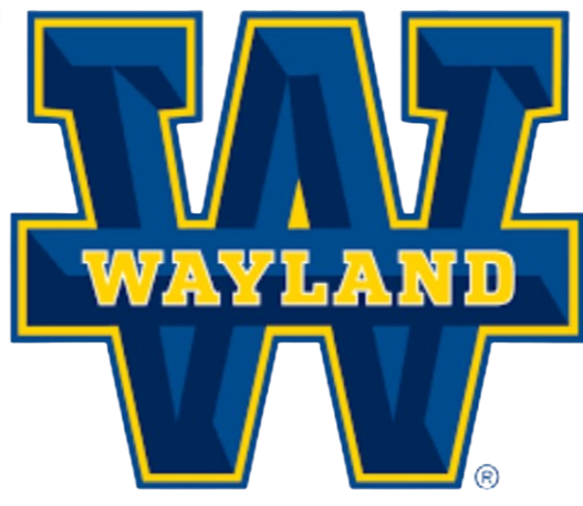 Wayland Baptist Univ – Basketball Team