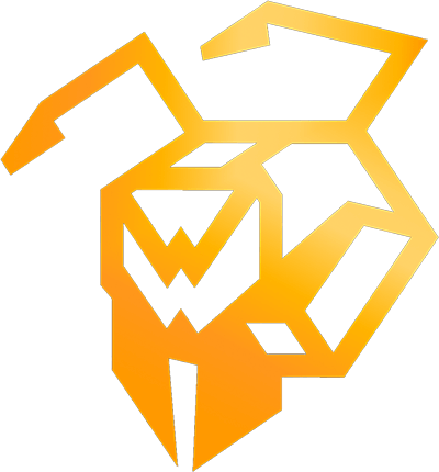 Equipo Websterz. Composición De CS2 (CS:GO)