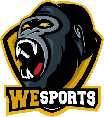 Команда WeSports. Состав LoL