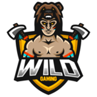Hold Wild. Opstilling CS2 (CS:GO)
