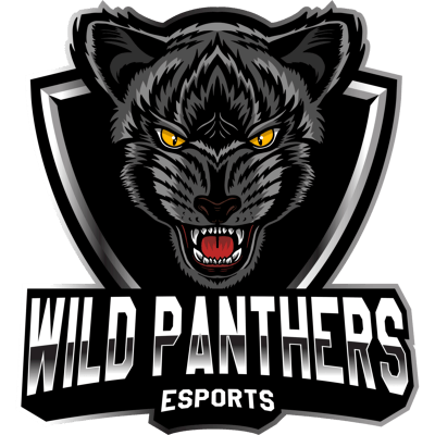 Команда Wild Panthers Esports. Состав LoL