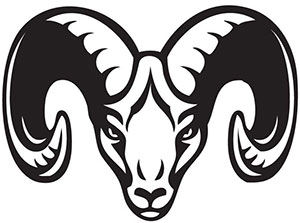 Equipo Wild Ram. Composición De CS2 (CS:GO)