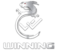 Команда Winning Gaming. Состав Dota 2