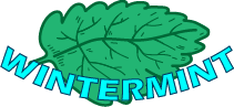 Wintermint, склад з Valorant