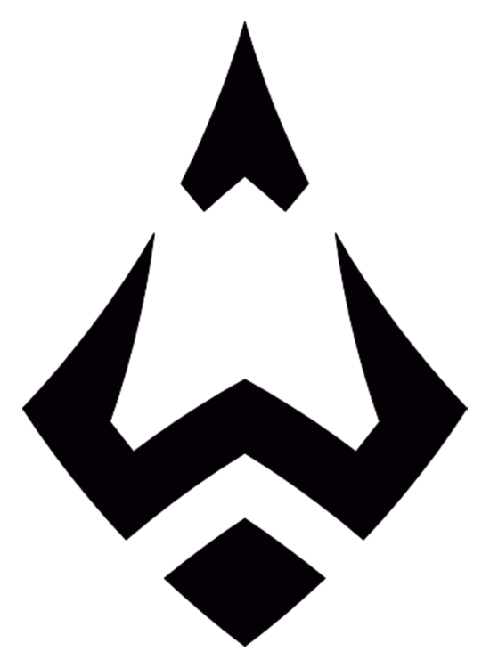 Wizards – CS2 (CS:GO) Team
