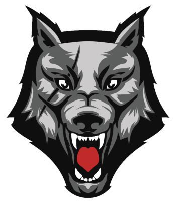 Hold Wolf Club Esports. Opstilling LoL