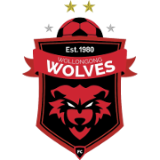 Equipo Wollongong Wolves. Composición De Football