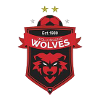 Wollongong Wolves U20 Football Team