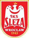 Wroclaw Women's Basketball Team