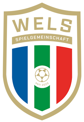 Hold SPG Wels. Opstilling Football