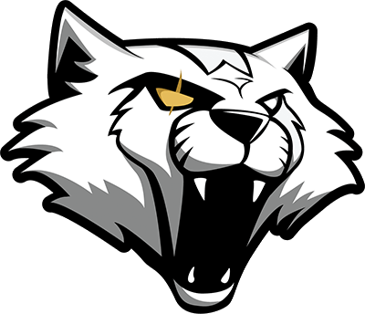 Wygers Argentina CS2 (CS:GO) Team