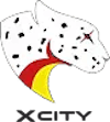 X-CITY CS2 (CS:GO) Team