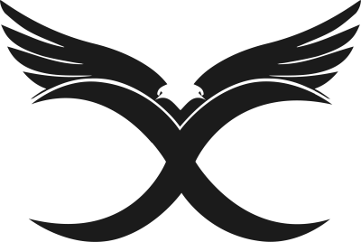 X, склад з CS2 (CS:GO)