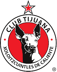 Equipo Xolos de Hermosillo. Composición De Football