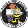 Yamanashi Queen Bees Women – Basketball