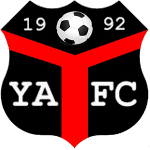 Ynyshir Albions Football队