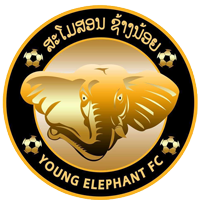 Young Elephants – Football Team