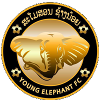 Young Elephants – Football Team