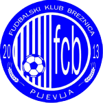 Breznica (w) – Football Team