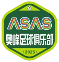 Equipo Zhangjiakou Aofeng. Composición De Football