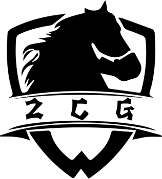 Zhu Chao Gaming Valorant Team
