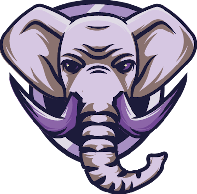 Equipo Zingaro Gaming. Composición De CS2 (CS:GO)
