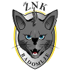 ZNK Radomlje (w) – Football Team