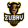 Zubry, склад з Basketball