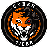 Cyber Tiger Big Season 2020联盟CS2 (CS:GO)