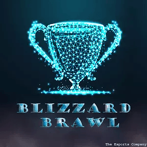 Blizzard Brawl New Year Decider 2024 liga Dota 2