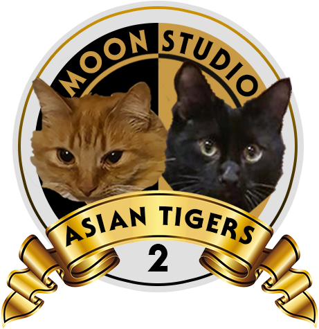 Moon Studio Asia Tigers 2 2021 liga Dota 2