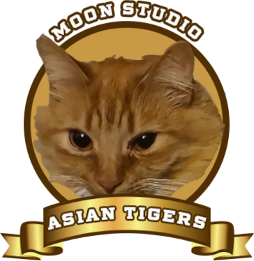 Moon Studio Asia Tigers 2021 Dota 2 championships