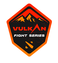 Vulkan Fight Series 2020 ліга Dota 2