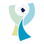Turkish Super Cup 2022 liga Football